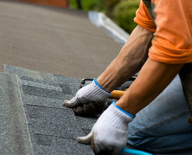 Best Storm Damage Roof Repair  in South Bay, FL